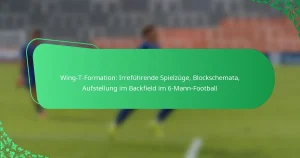 Wing-T-Formation: Irreführende Spielzüge, Blockschemata, Aufstellung im Backfield im 6-Mann-Football